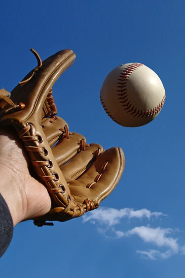 leading law firm in the UAE